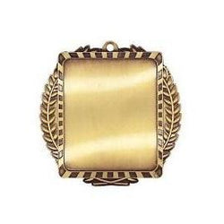 Medal Insert Lynx-D&G Trophies Inc.-D and G Trophies Inc.