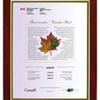 Certificate Holder-D&G Trophies Inc.-D and G Trophies Inc.