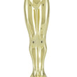 achievement, m achievement award-D&G Trophies Inc.-D and G Trophies Inc.
