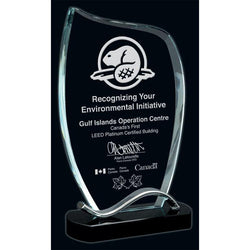 Amazon Glass Award-D&G Trophies Inc.-D and G Trophies Inc.