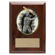 blow-out Sport, m&f laminate plaque-D&G Trophies Inc.-D and G Trophies Inc.