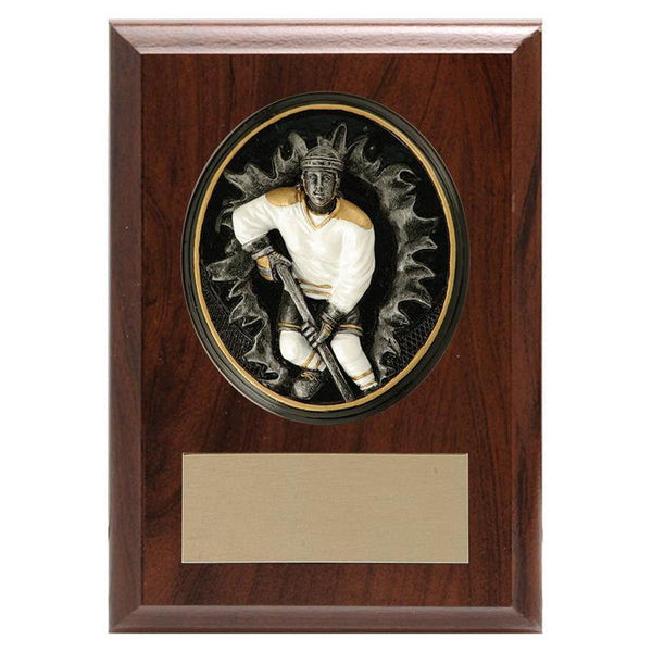 blow-out Sport, m&f laminate plaque-D&G Trophies Inc.-D and G Trophies Inc.