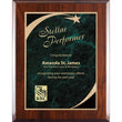 Blue Shooting Star Marble Mist High Gloss Plaque-D&G Trophies Inc.-D and G Trophies Inc.