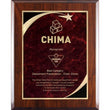 Blue Shooting Star Marble Mist High Gloss Plaque-D&G Trophies Inc.-D and G Trophies Inc.