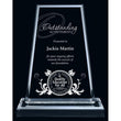 Clear Montrose Acrylic Award-D&G Trophies Inc.-D and G Trophies Inc.