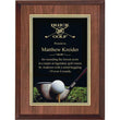 Coach Laminate plaque-D&G Trophies Inc.-D and G Trophies Inc.