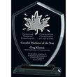 Conquest Glass Award-D&G Trophies Inc.-D and G Trophies Inc.