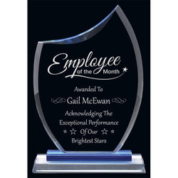 Cranbrook Glass Award-D&G Trophies Inc.-D and G Trophies Inc.