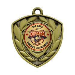 defender medal 1” insert medal-D&G Trophies Inc.-D and G Trophies Inc.