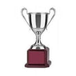 Endurance Rounded Nickel Plated Cup on Square Rosewood Base-D&G Trophies Inc.-D and G Trophies Inc.