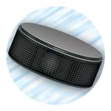 Epoxy Dome Insert, Hockey 2