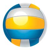 Epoxy Dome Insert, Volleyball 2