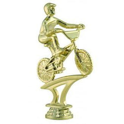 Figure BMX 5.25