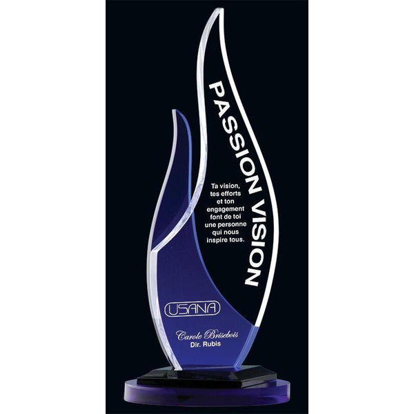 Freeform Fire & Ice Acrylic Award-D&G Trophies Inc.-D and G Trophies Inc.