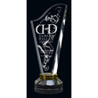 Harp Optic Crystal Award-D&G Trophies Inc.-D and G Trophies Inc.