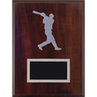 hockey laminate plaque-D&G Trophies Inc.-D and G Trophies Inc.