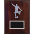 hockey laminate plaque-D&G Trophies Inc.-D and G Trophies Inc.