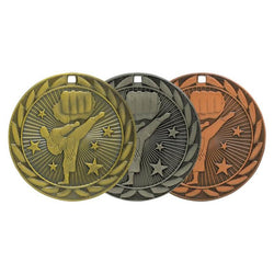 karate iron medal-D&G Trophies Inc.-D and G Trophies Inc.