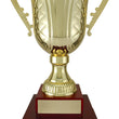 Mancini Cup-D&G Trophies Inc.-D and G Trophies Inc.