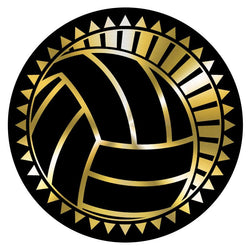 Metallic Epoxy Dome Insert, Black/Gold Volleyball 2
