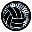 Metallic Epoxy Dome Insert, Black/Silver Volleyball 2"-D&G Trophies Inc.-D and G Trophies Inc.