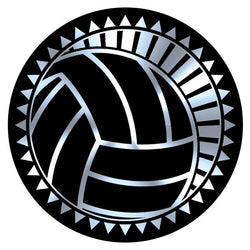 Metallic Epoxy Dome Insert, Black/Silver Volleyball 2