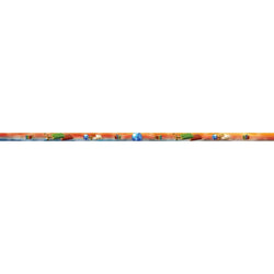 Neck Ribbon Spectrum Academic-D&G Trophies Inc.-D and G Trophies Inc.