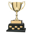 Nickel Plated Cup on Black Annual Base, 12"-D&G Trophies Inc.-D and G Trophies Inc.