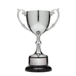 Nickel Plated Cup on Round Base , 9.25"-D&G Trophies Inc.-D and G Trophies Inc.