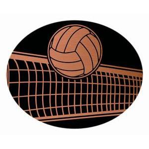 Oval Dome Insert, Black/Bronze Volleyball-D&G Trophies Inc.-D and G Trophies Inc.