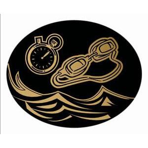 Oval Dome Insert, Black/Gold Swimming-D&G Trophies Inc.-D and G Trophies Inc.