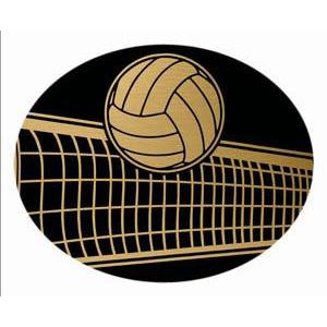 Oval Dome Insert, Black/Gold Volleyball-D&G Trophies Inc.-D and G Trophies Inc.