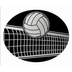 Oval Dome Insert, Black/Silver Volleyball-D&G Trophies Inc.-D and G Trophies Inc.