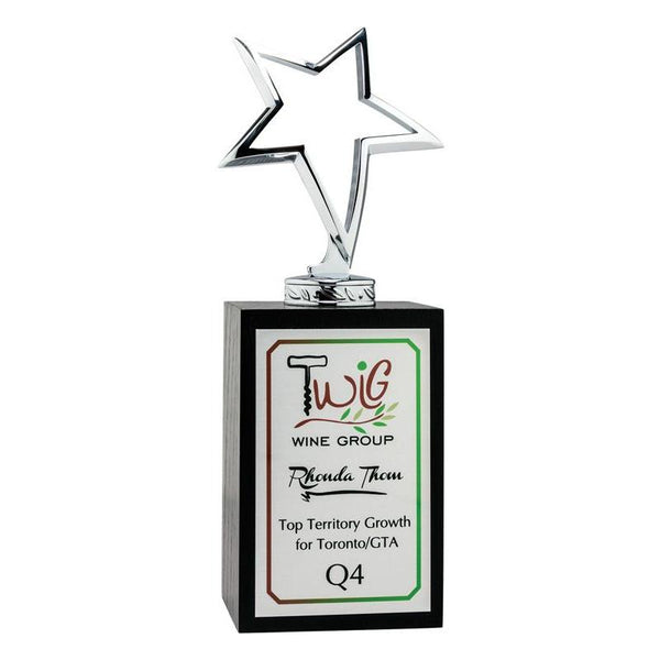 Polished Hollow Star on Black Wood Block, 8.75"-D&G Trophies Inc.-D and G Trophies Inc.