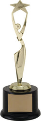 reach for the stars achievement award-D&G Trophies Inc.-D and G Trophies Inc.