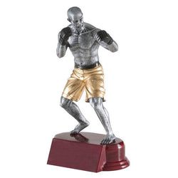 Resin Classic Mixed Martial Arts 8