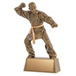 Resin Pinnacle Martial Arts, 8.5"-D&G Trophies Inc.-D and G Trophies Inc.