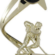 shooting star hockey achievement award-D&G Trophies Inc.-D and G Trophies Inc.