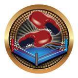 Spectrum Insert, Boxing 2"-D&G Trophies Inc.-D and G Trophies Inc.