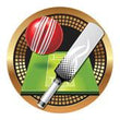 Spectrum Insert, Cricket 2"-D&G Trophies Inc.-D and G Trophies Inc.