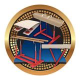 Spectrum Insert, Gymnastics 2"-D&G Trophies Inc.-D and G Trophies Inc.