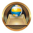 Spectrum Insert, Volleyball 2"-D&G Trophies Inc.-D and G Trophies Inc.