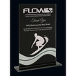 Terra Nova Black & Mirror Glass Award-D&G Trophies Inc.-D and G Trophies Inc.