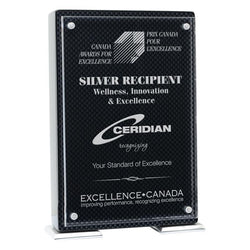vista acrylic plate-D&G Trophies Inc.-D and G Trophies Inc.