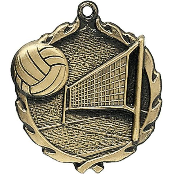 volleyball sculptured medal-D&G Trophies Inc.-D and G Trophies Inc.