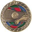 volleyball stained glass medal-D&G Trophies Inc.-D and G Trophies Inc.